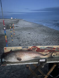 Creole Report Photo 2