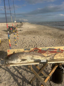 Cameron Parish Report Photo 2