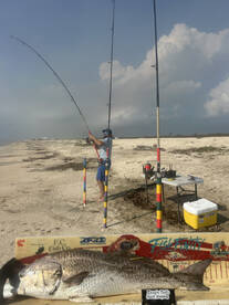 Cameron Parish Report Photo 1