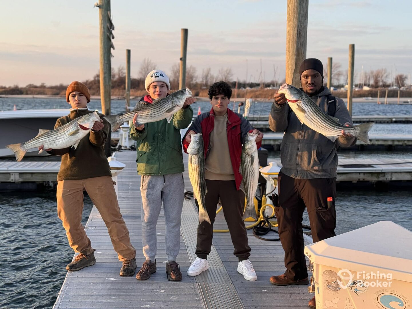 Jamaica Bay Report Photo 0