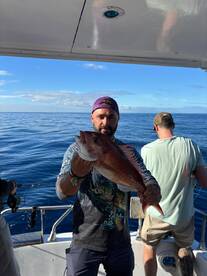 Madeira Report Photo 1