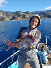 Funchal Report Photo 2