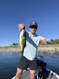 Austin Report Photo 1