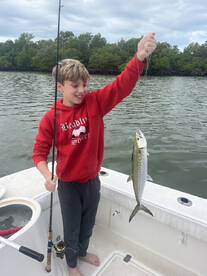 Marco Island Report Photo 2