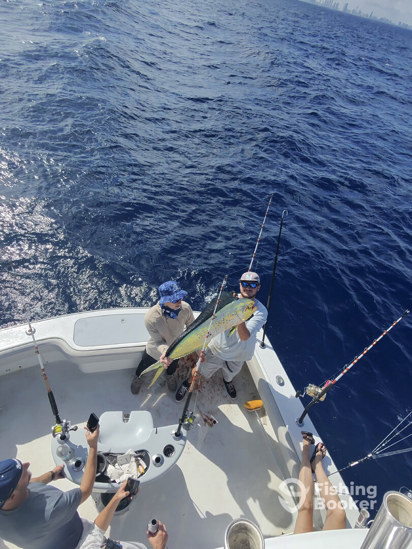 Fort Lauderdale Report Photo 0