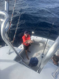 Fort Lauderdale Report Photo 1