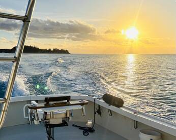 Sandys Report Photo 2