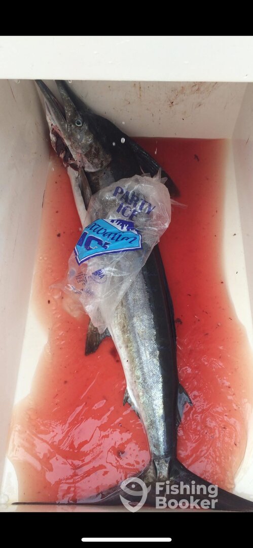 Hawaii Report Photo 0