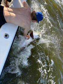 Afternoon action with Capt Mateo