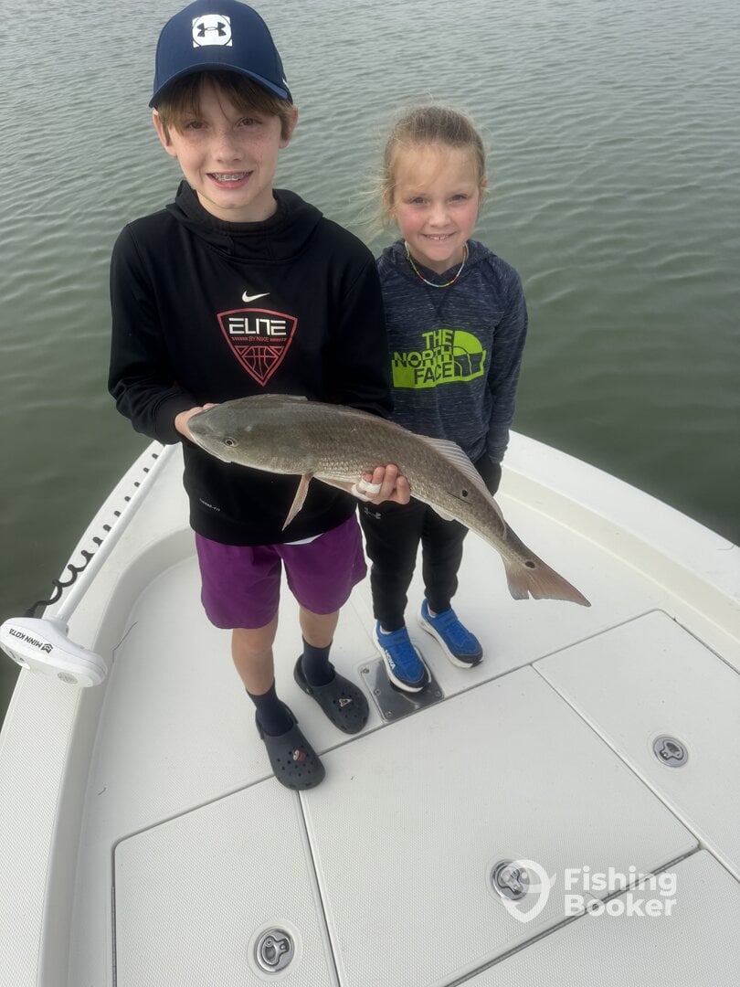 Indian Shores Report Photo 0