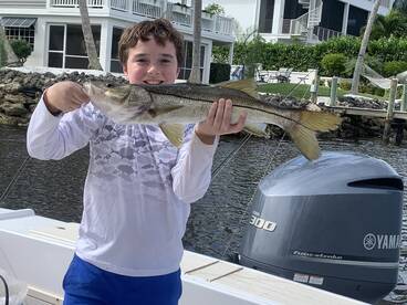 Snook action