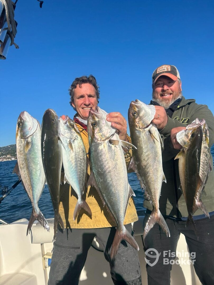 Barcelona Report Photo 0