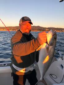 Catalonia Report Photo 2