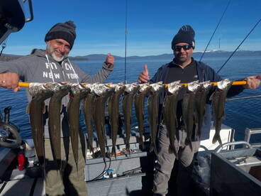 South Lake Tahoe Report Photo 3