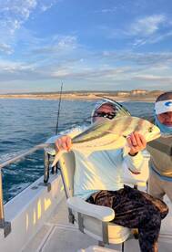 Cabo San Lucas Report Photo 1