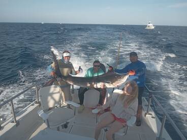 Cabo San Lucas Report Photo 2