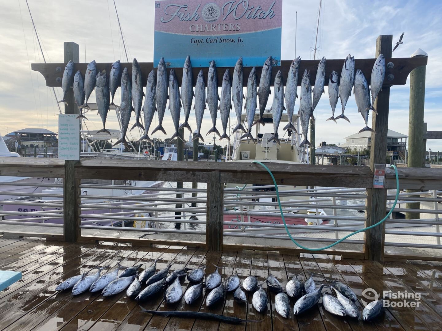 New Hanover County Report Photo 0