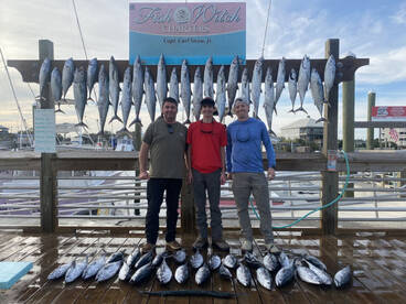 Thanksgiving king mackerls