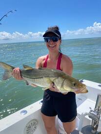 Quepos Report Photo 2