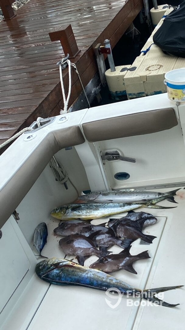 Cancún Report Photo 0