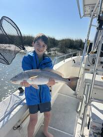 Hilton Head Island Report Photo 2