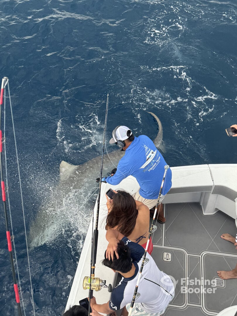 Miami Beach Report Photo 0