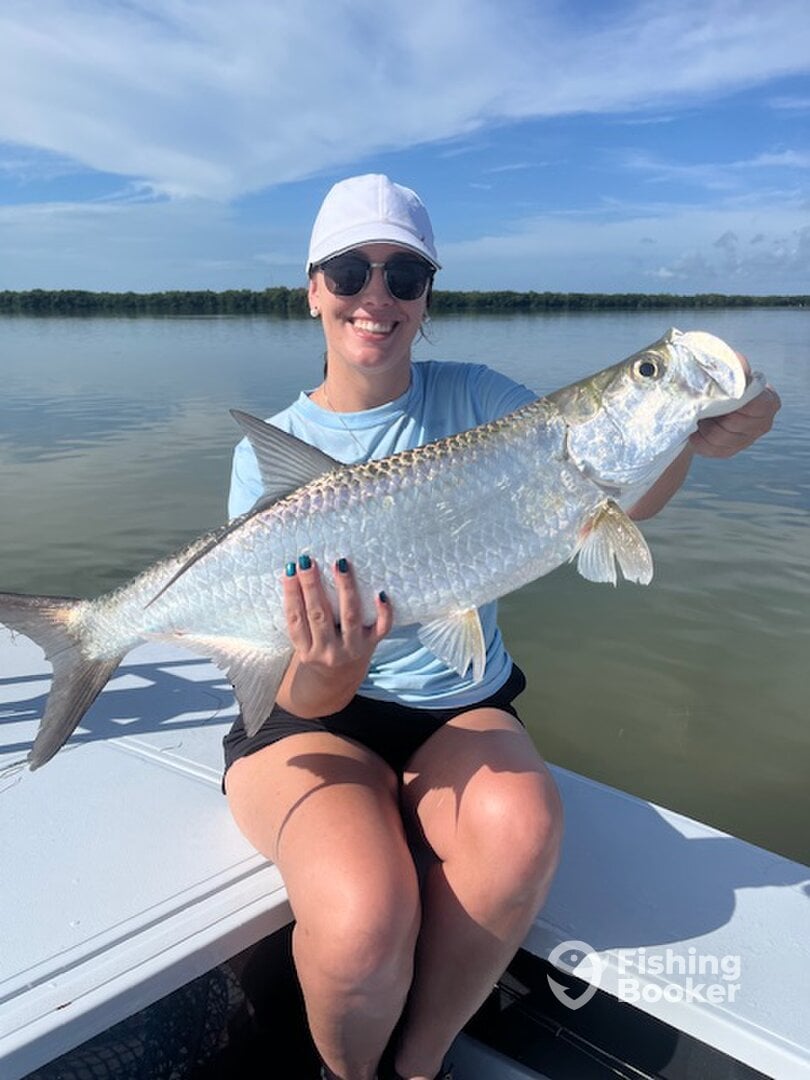 Juvenile tarpon, so much fun