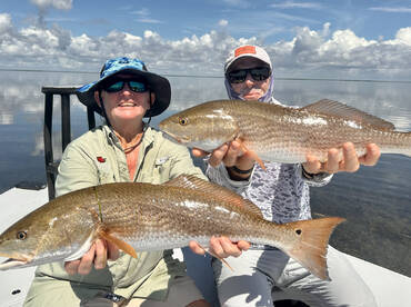 Fat redfish - double the pleasure