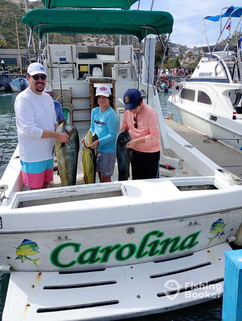 Cabo San Lucas Report Photo 0