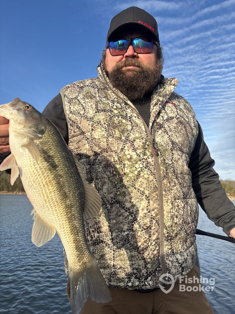 Branson Report Photo 0