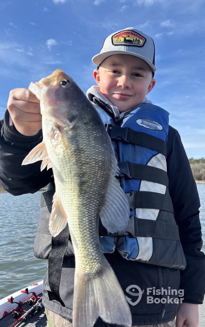 Missouri Report Photo 0