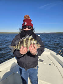 St. Marks Report Photo 3