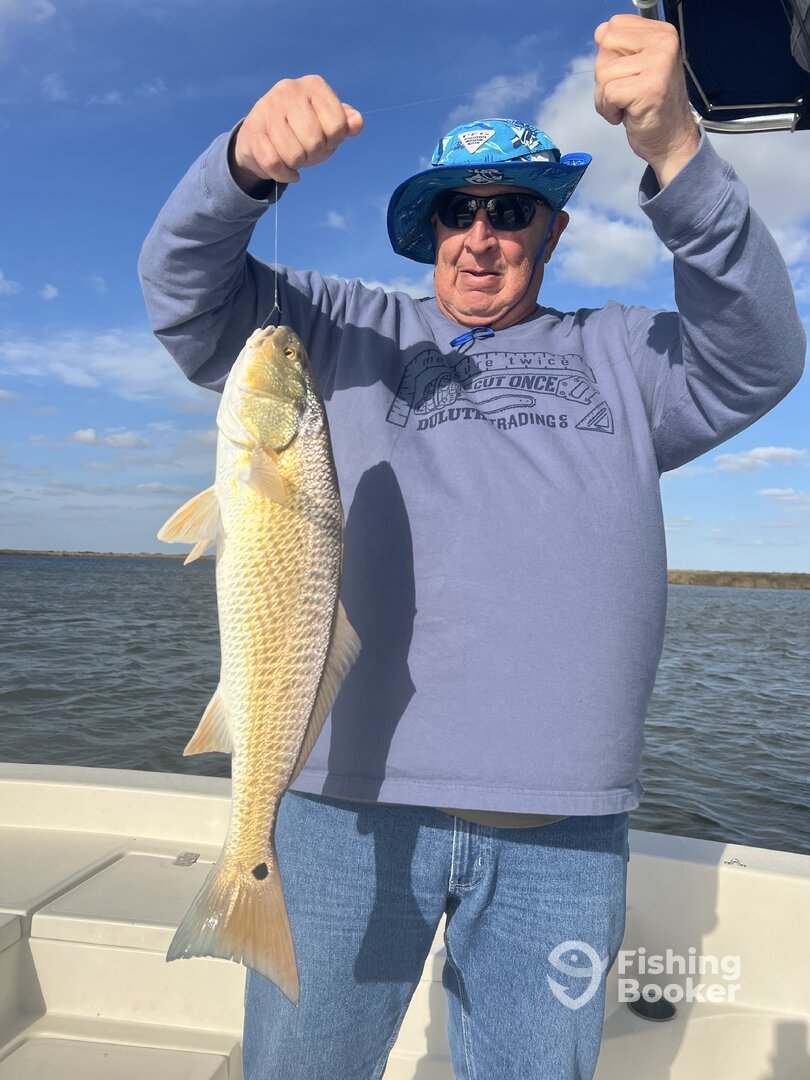 Galveston Report Photo 0