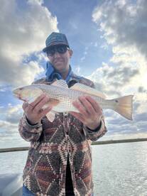 Galveston Report Photo 1