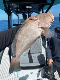Malé Report Photo 1