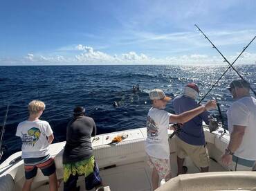 Sunday, November 9, 2025