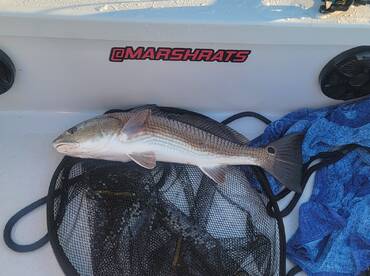 Jacksonville Report Photo 1