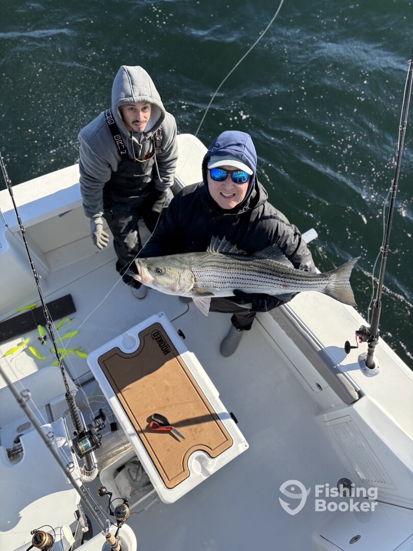 Middlesex County Report Photo 0