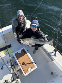 Middlesex County Report Photo 2