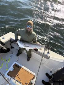 Middlesex County Report Photo 2