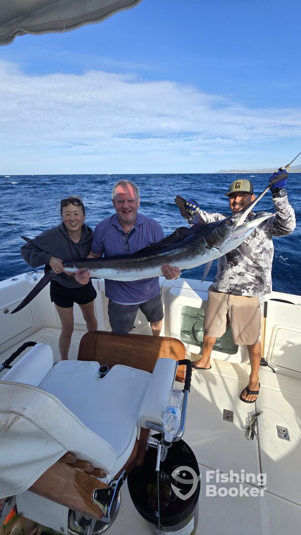 Cabo San Lucas Report Photo 0