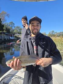 Mount Pleasant Report Photo 2