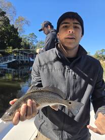 Mount Pleasant Report Photo 1