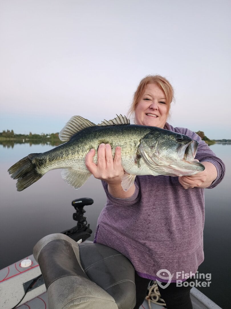 Orlando Report Photo 0