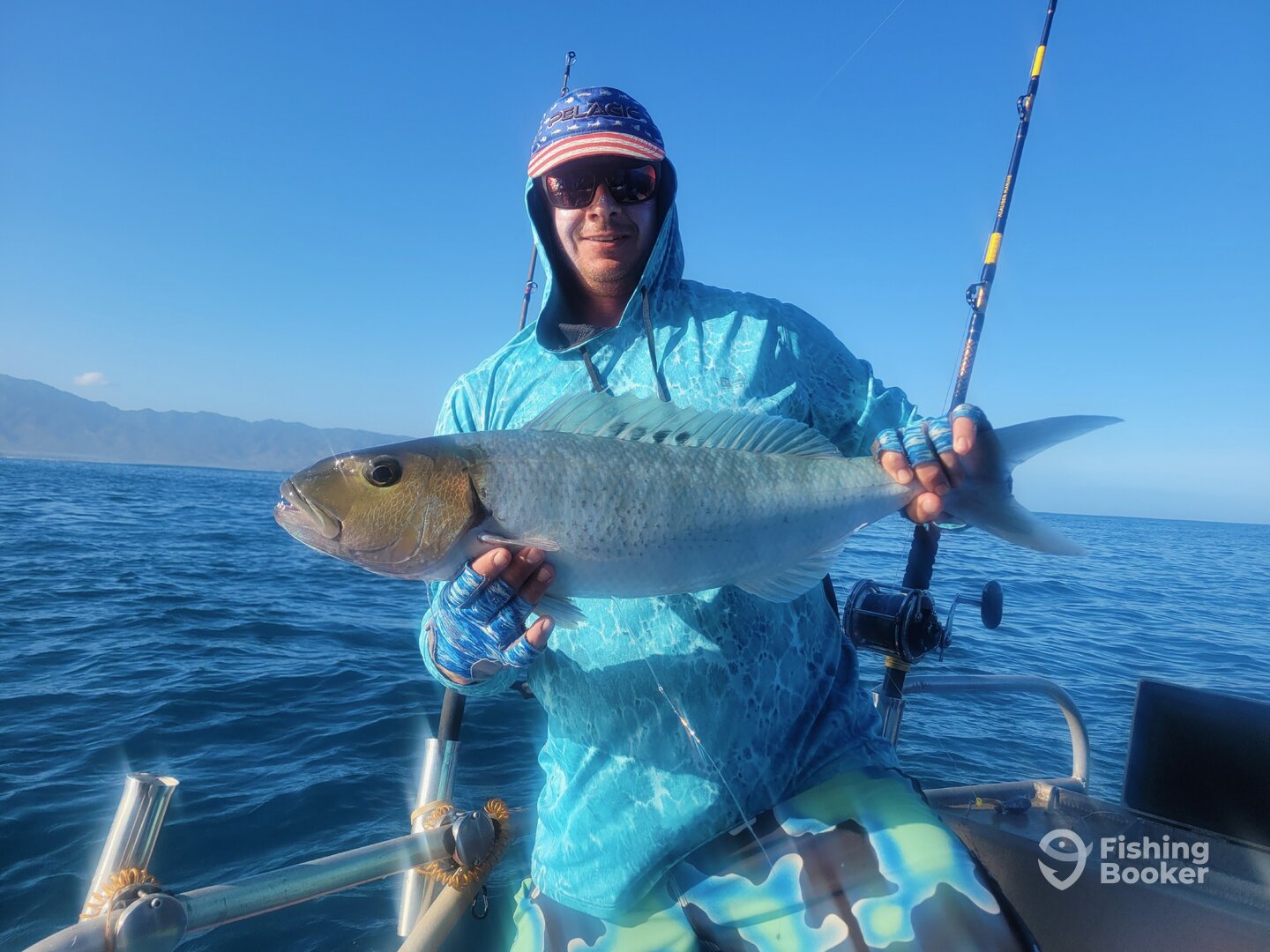 Haleiwa Report Photo 0