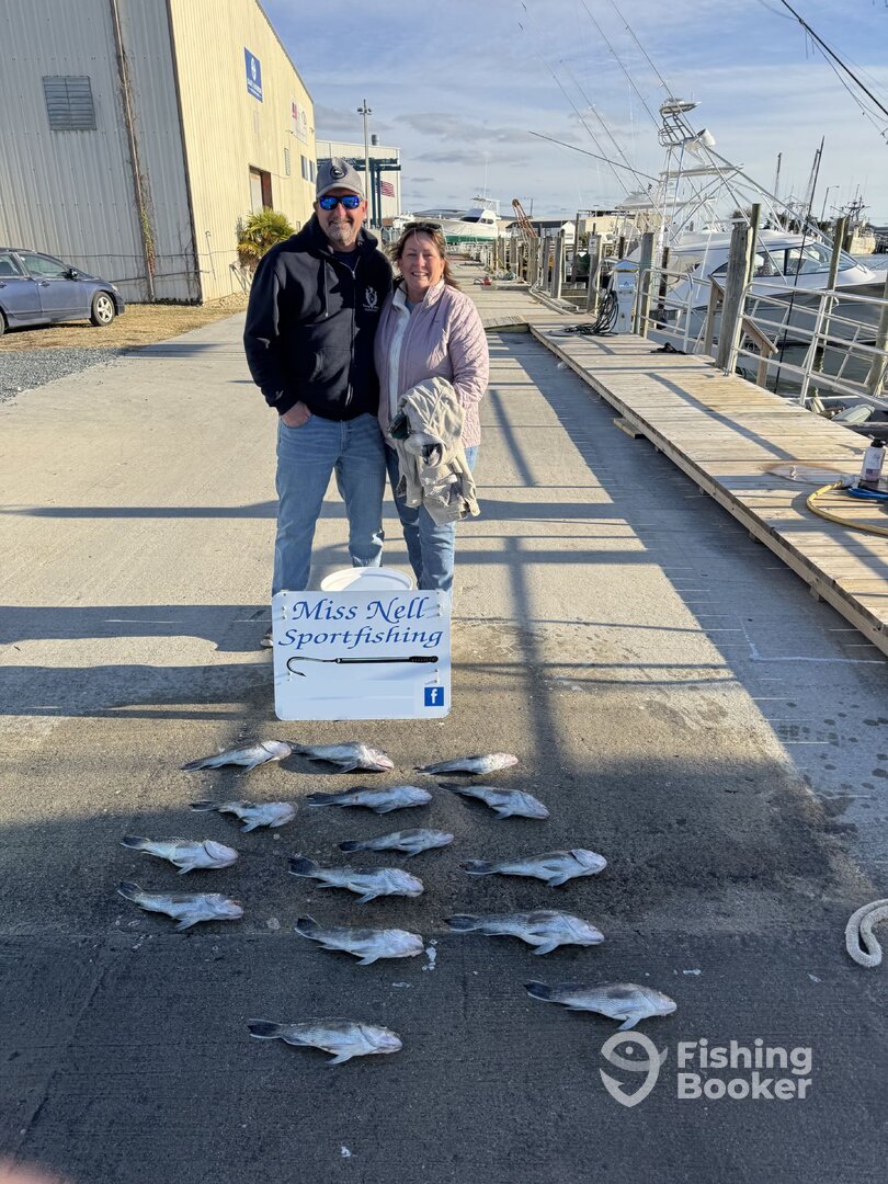 Wanchese Report Photo 0