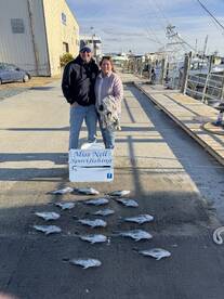 Sea bass are still around 