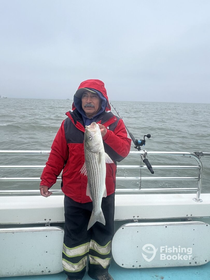 San Francisco Report Photo 0