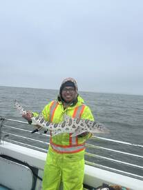 San Francisco Report Photo 1