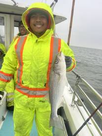 San Francisco Report Photo 2